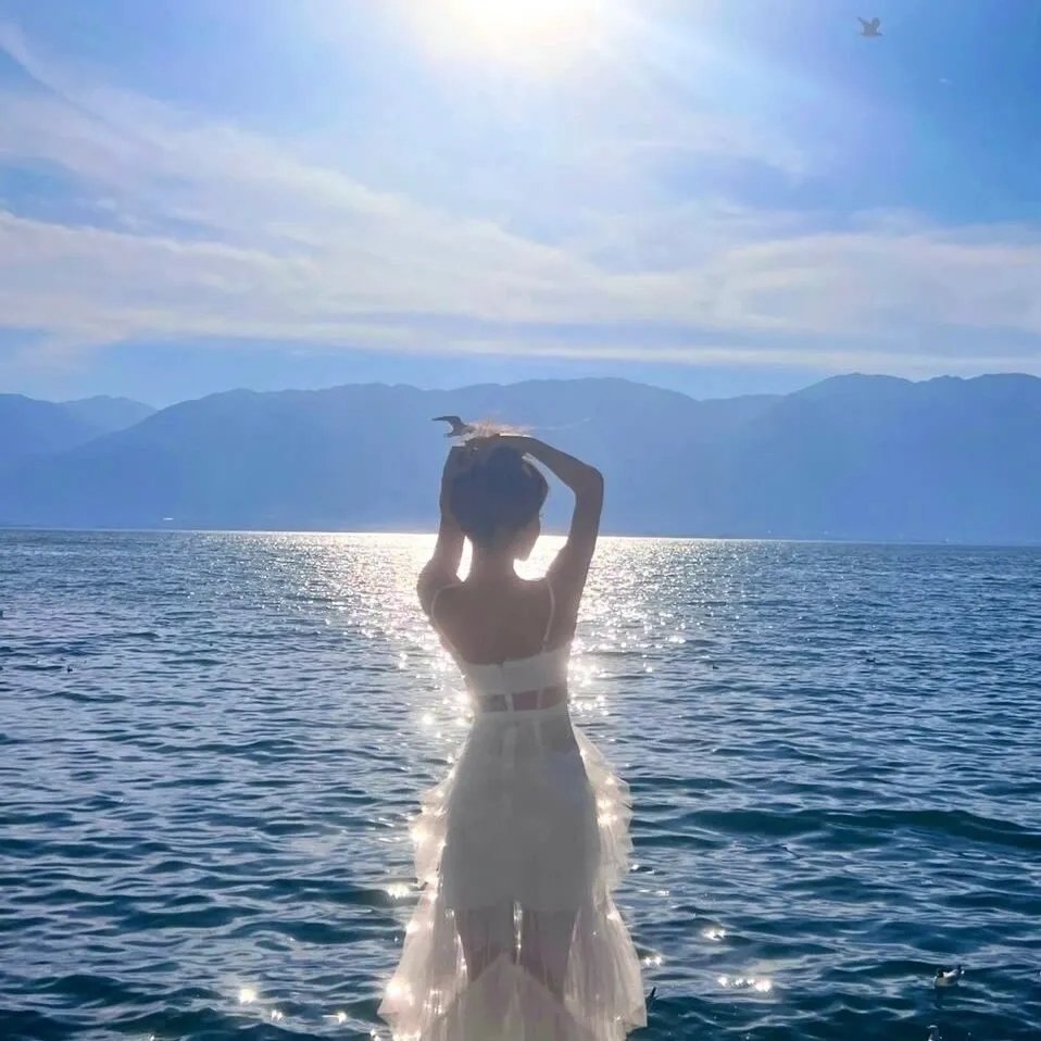 美国最恐怖的宠物海报