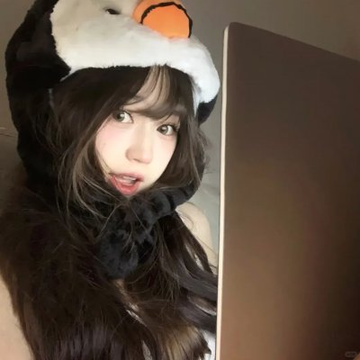 诚实国度的爱丽丝海报