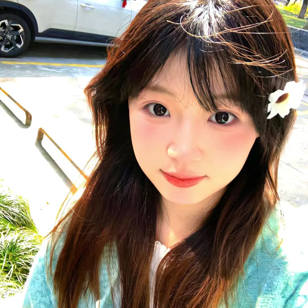 王朝的陷落海报